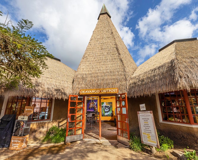 Okavango Outpost