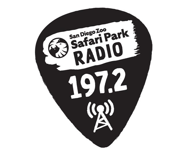 Safari Park Radio 197.2 