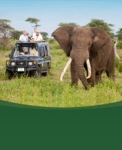 SDZWA adventures botswana elephant