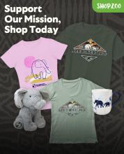 Support Our Mission Shop Today, elephant shirts, plush, and mug
