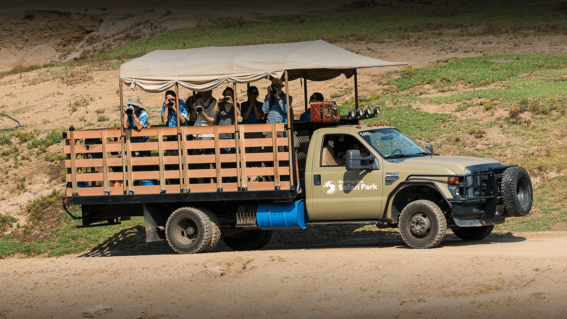 wildlife safari