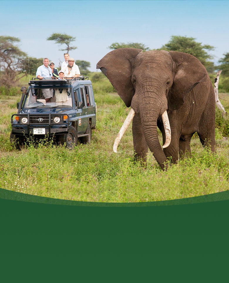 SDZWA adventures botswana elephant