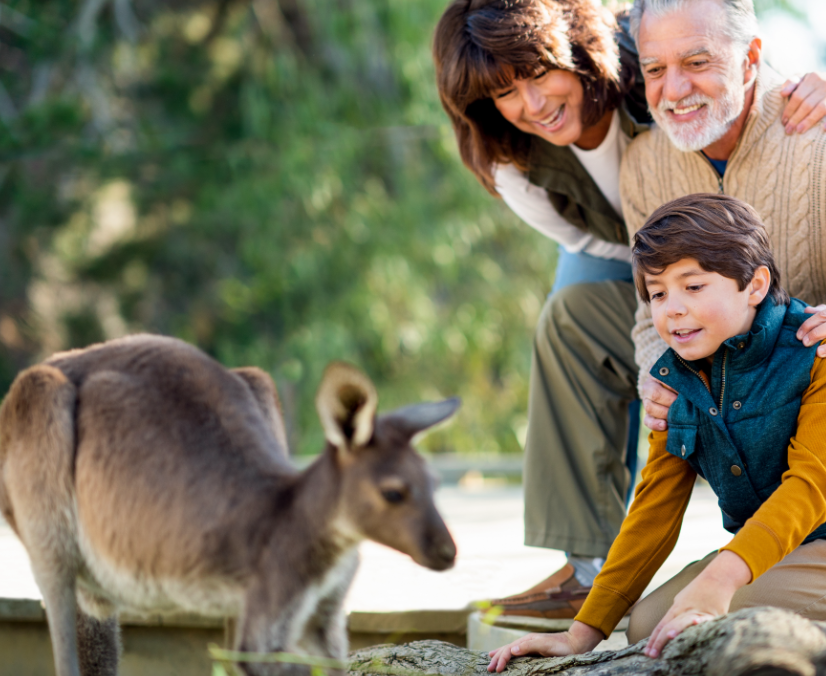family with kangaroo