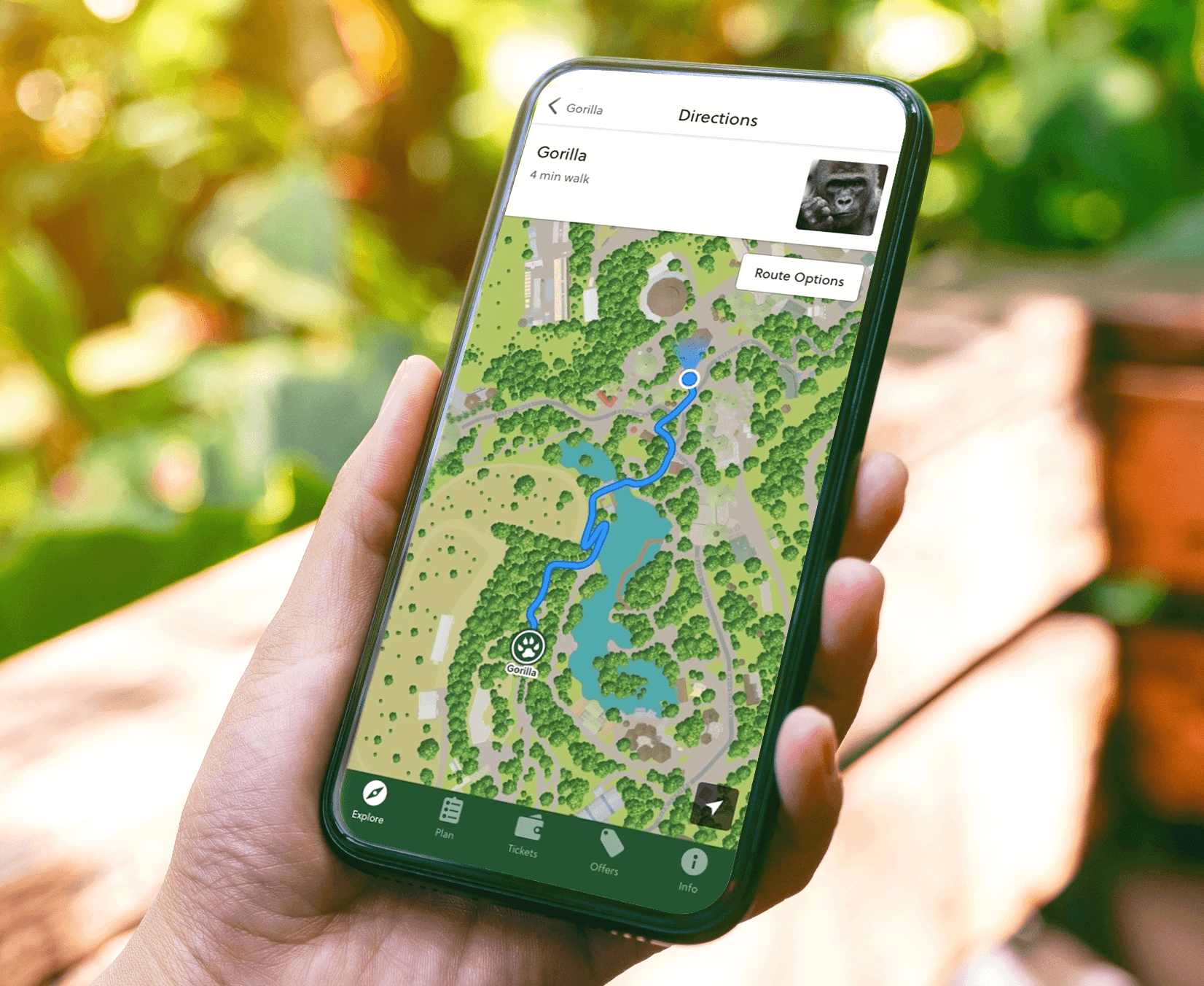 Hand holding a phone showing the San Diego Zoo Safari Park app