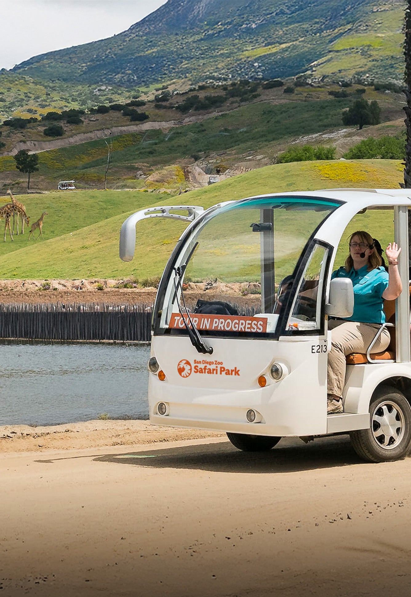 cart safari