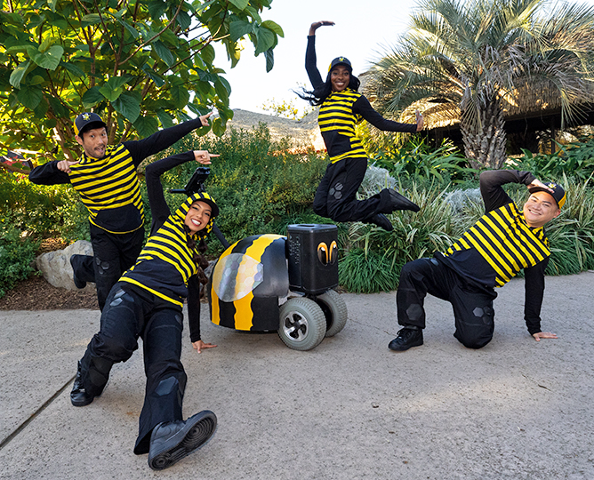 dancing team dressed in yellow and black stripes
