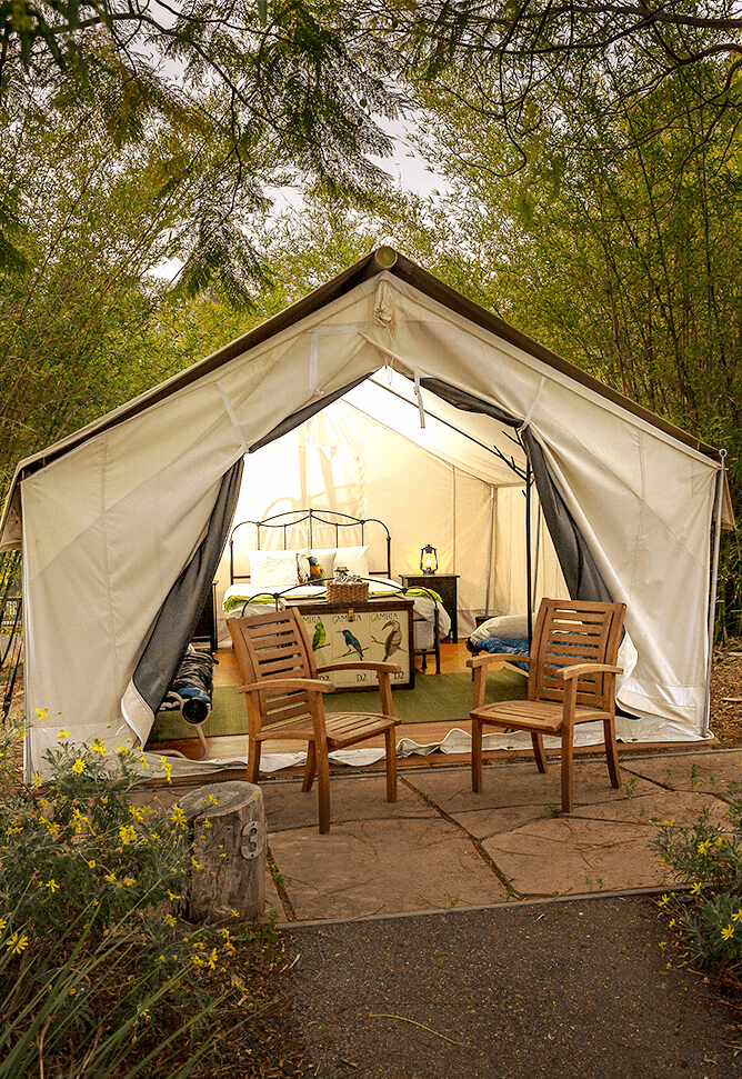 Photo of Premium Tent