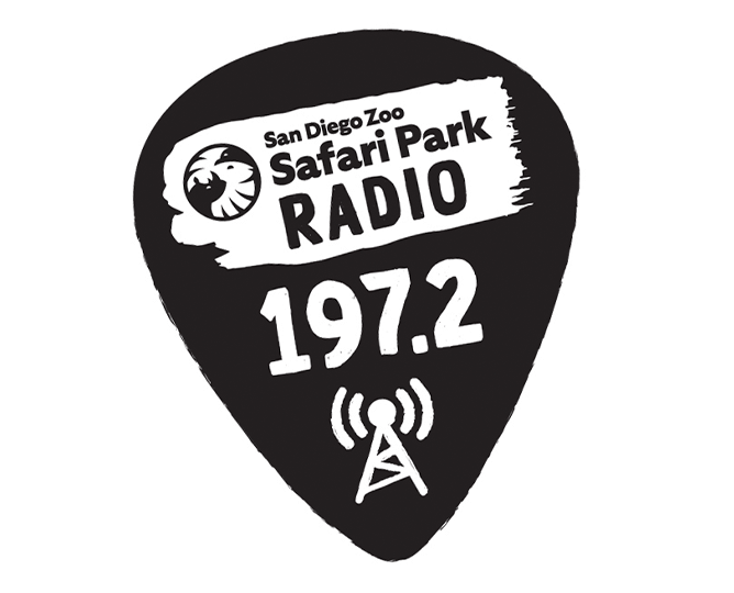 Safari Park Radio 197.2